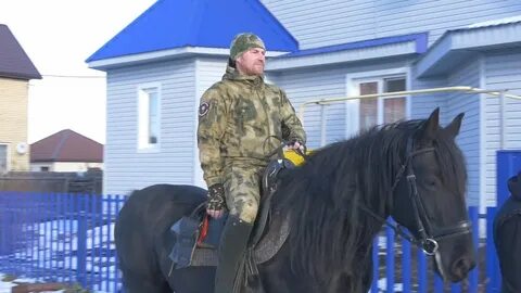 Лошади тюменская область
