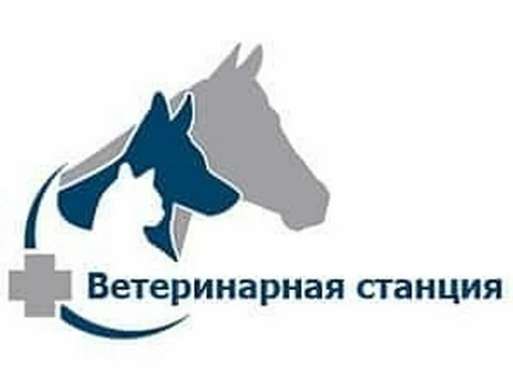 Служба по борьбе с болезнями животных. Ветеринарная служба. эмблема ветеринара. эмблема ветеринарной клиники. государственная ветеринарная служба логотип.