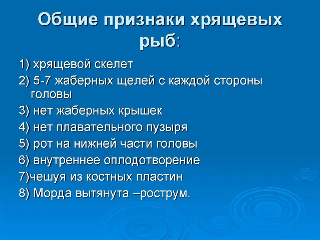 3 признака хрящевых рыб. Общая характеристика хрящевых и костных рыб. Общая характеристика хрящевых. Признаки хрящевых рыб. Общая характеристика хрящевых рыб.