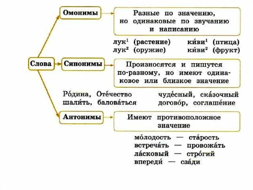 Что обозначает слово синоним