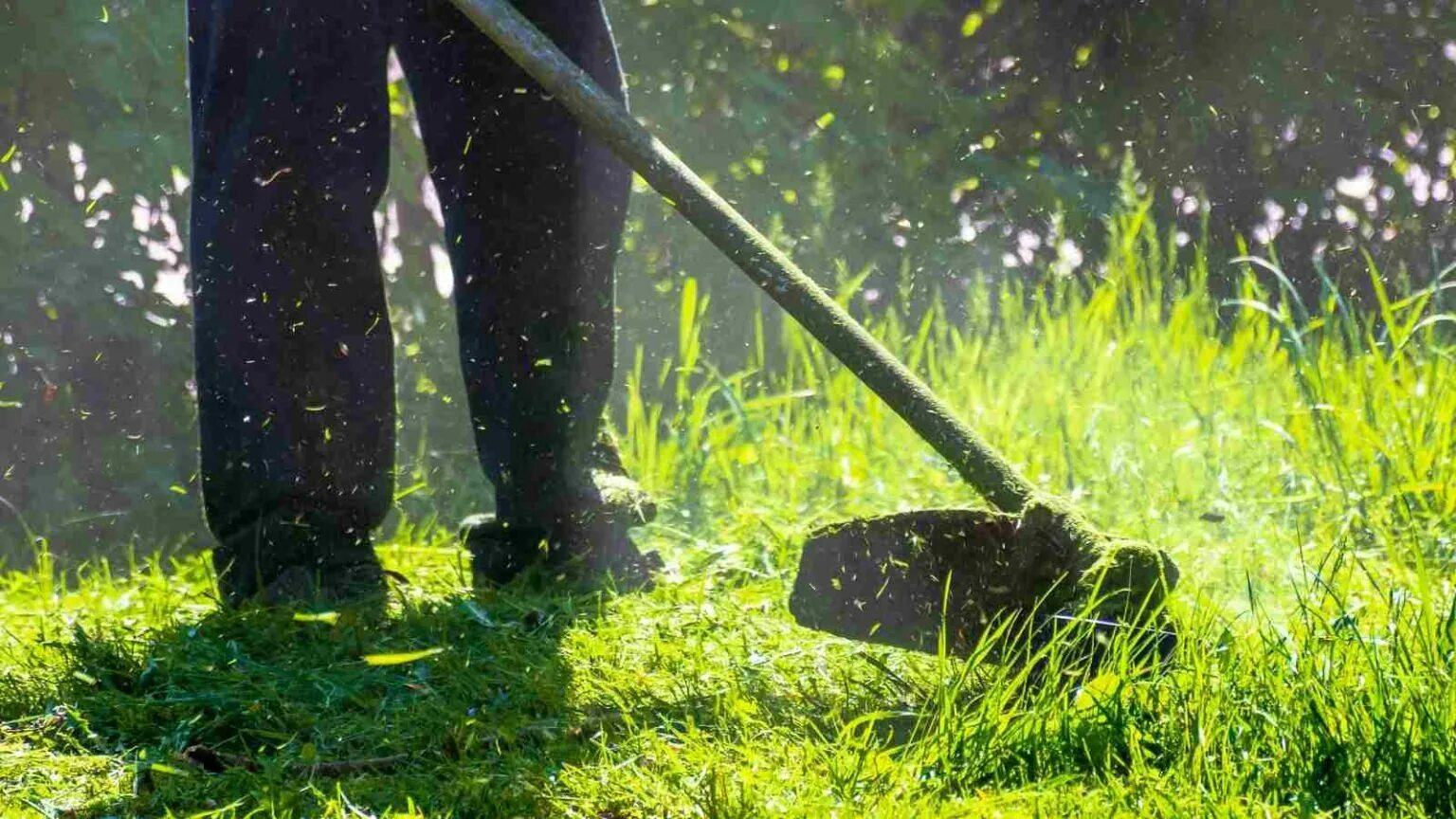 Можно ли в родительскую субботу косить траву. Косить траву. скошенная трава. косят траву в поле.