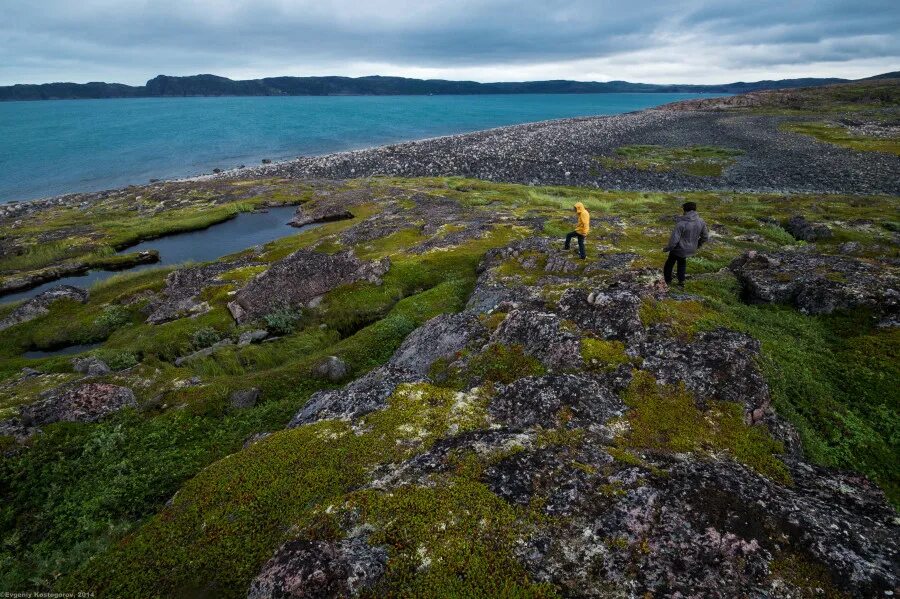 Камни кольского полуострова. Кольский полуостров муста-тунтури. Система кольском. Кольский полуостров. Система кольском.