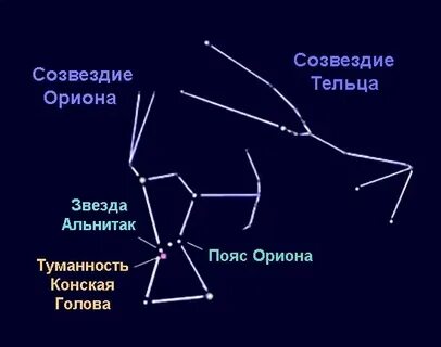 Созвездие с поясом 5 букв