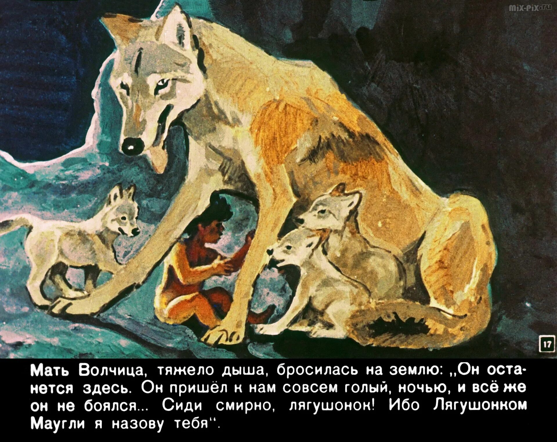 Как звали волка который стал отцом маугли. Маугли волчица. маугли и мама волчица. мама маугли волчица имя. мама волк маугли.