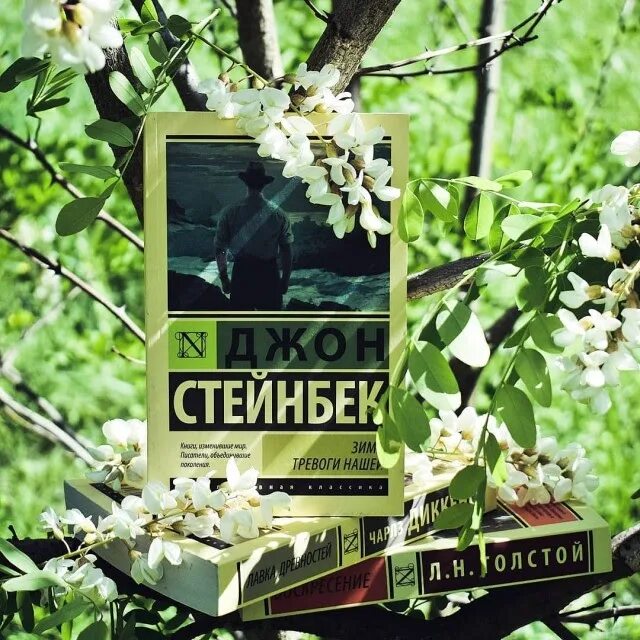 Зима тревоги нашей книга. Джон Стейнбек зима тревоги нашей. Зима тревоги нашей радиоспектакль.