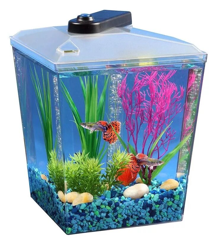 Аквариум наполнен. Дизайн аквариума. Аквариум наполнен. Наполнение аквариума. Наполнение аквариума.