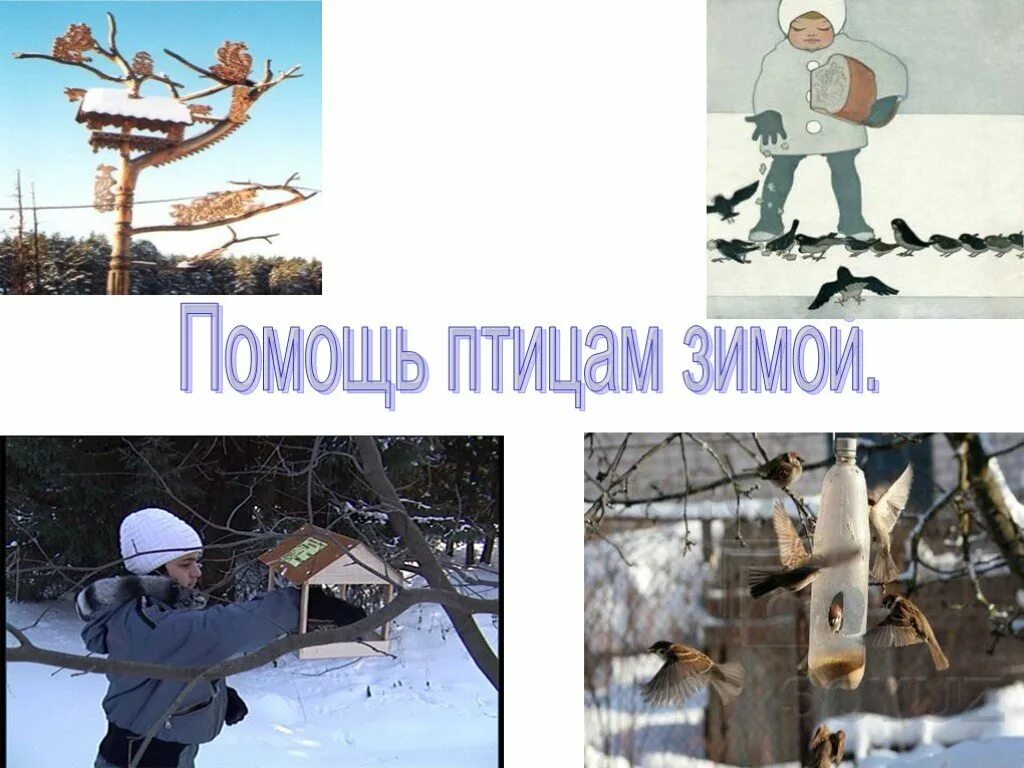Человек зимой окружающий мир 2 класс. Труд людей зимой. труд в природе зимой. зима занятие людей. занятия людей зимой.