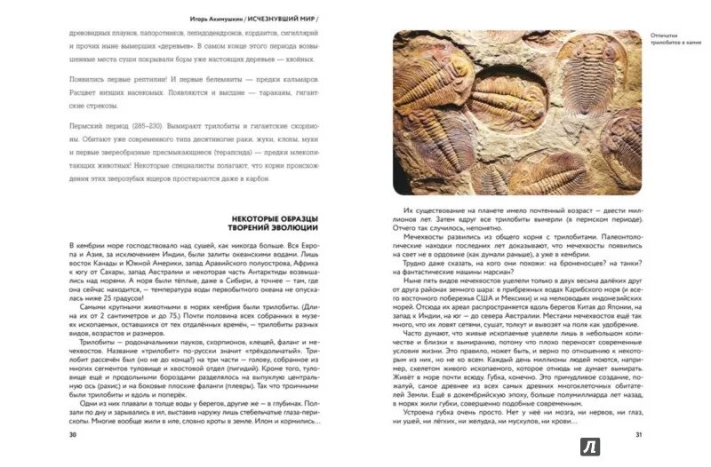 Читать она исчезла
