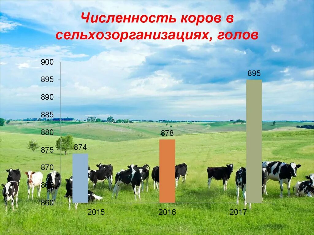 Страны по поголовью крупного рогатого. Численность коров. Численность коров на земле. Крупнейшие производители крупного рогатого скота. Валовое производство молока.