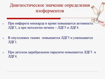 Биологическая роль изоферментов