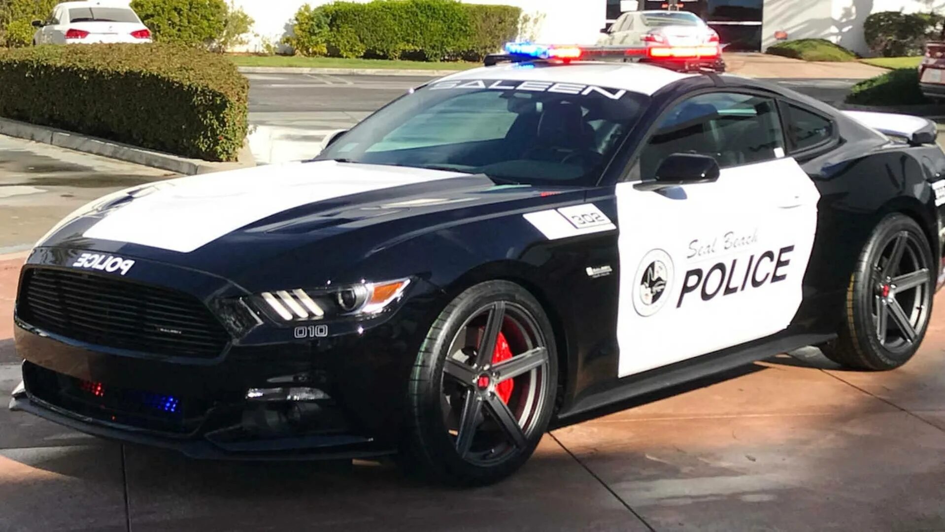 Полицейский мустанг. Полицейский Форд Мустанг gt. Ford Mustang 2016 Police. Форд Мустанг 2021 полицейский. Ford Mustang Police Interceptor.