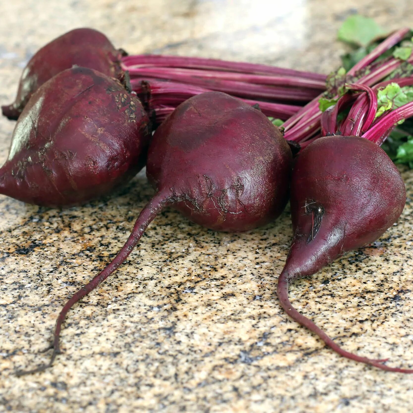 мини свекла. можно ли курицам красную свеклу. кормовая свекла ботва. семена. сахарная свекла красная.