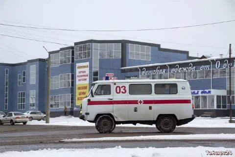 Тайшет березовая роща