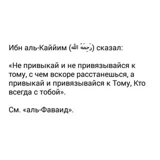 Сказал ибн