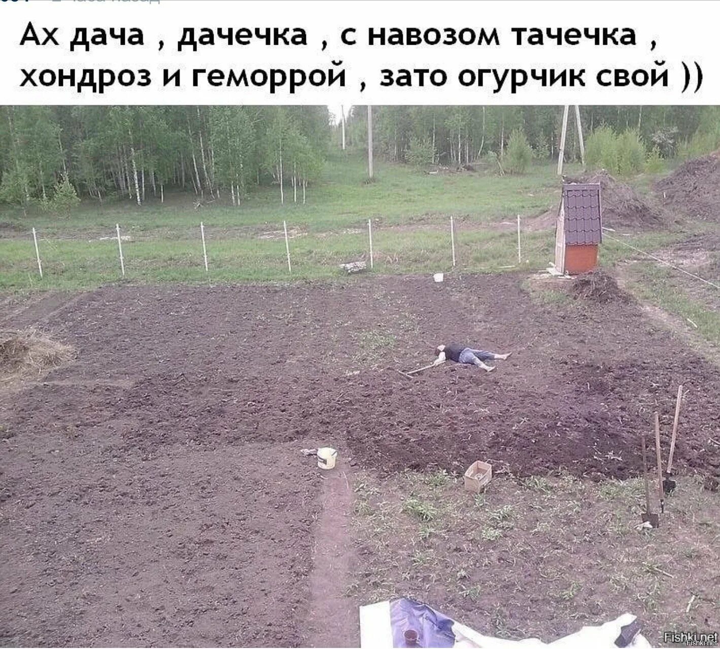 Посадить что нибудь