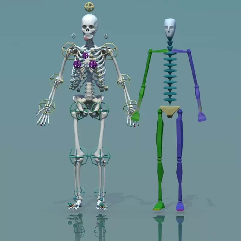 Скелетон мод. Biped скелет. скелет 3в моделирование. скелет персонажа 3d max. скелет человека 3d.