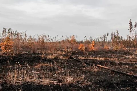Пожары за сутки московская область