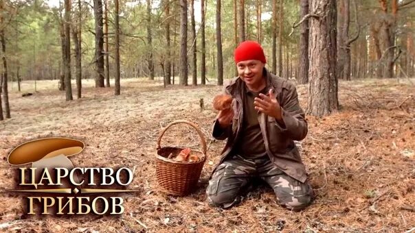 Царство грибов тихомиров