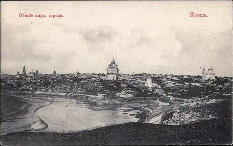 История ельца
