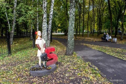 Эластик пенза запись