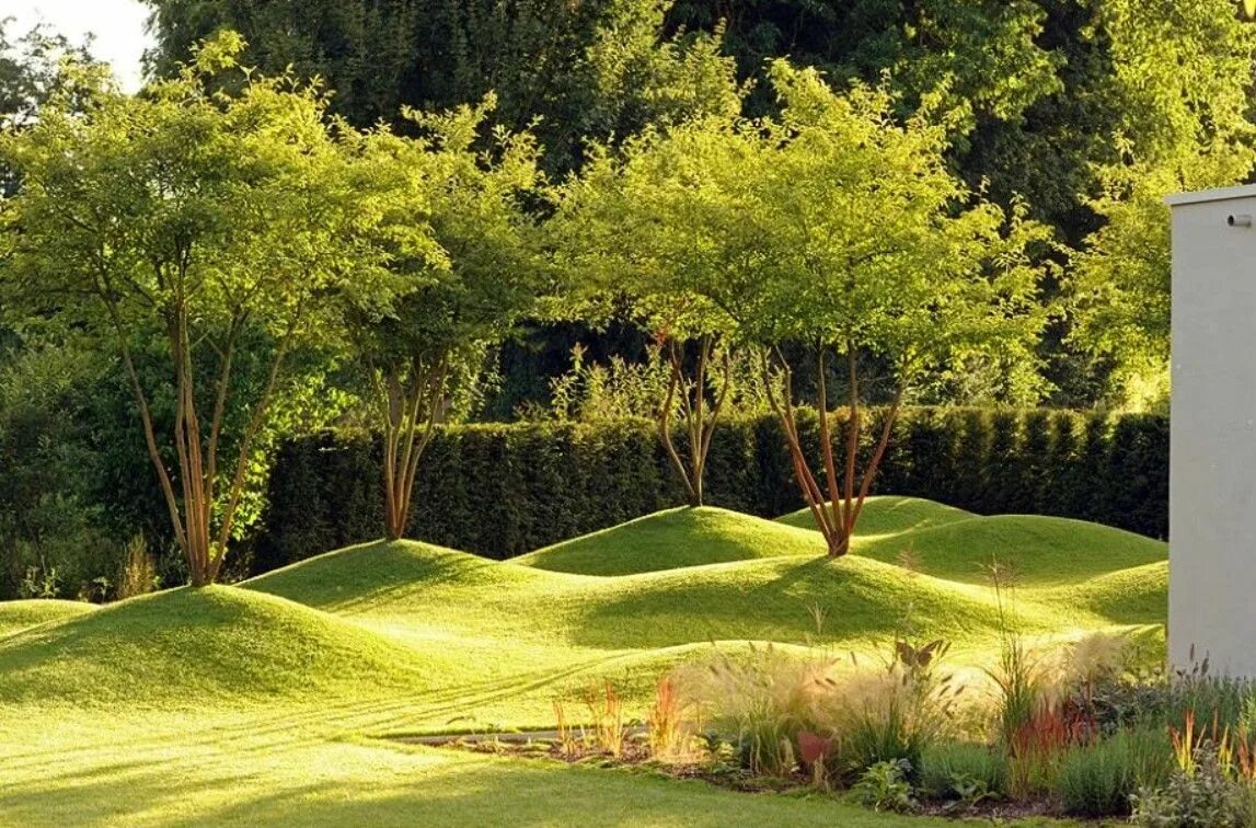 Landscape element