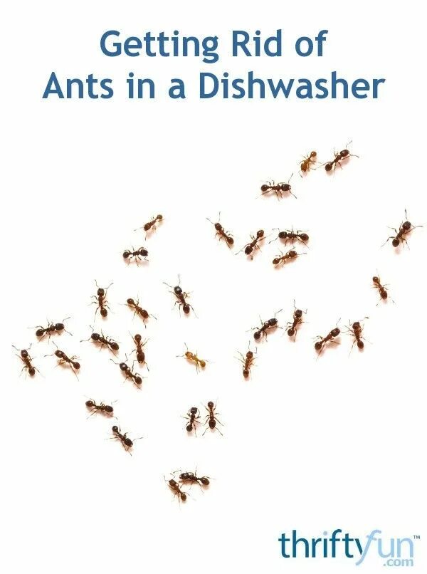 Get rid of the them
