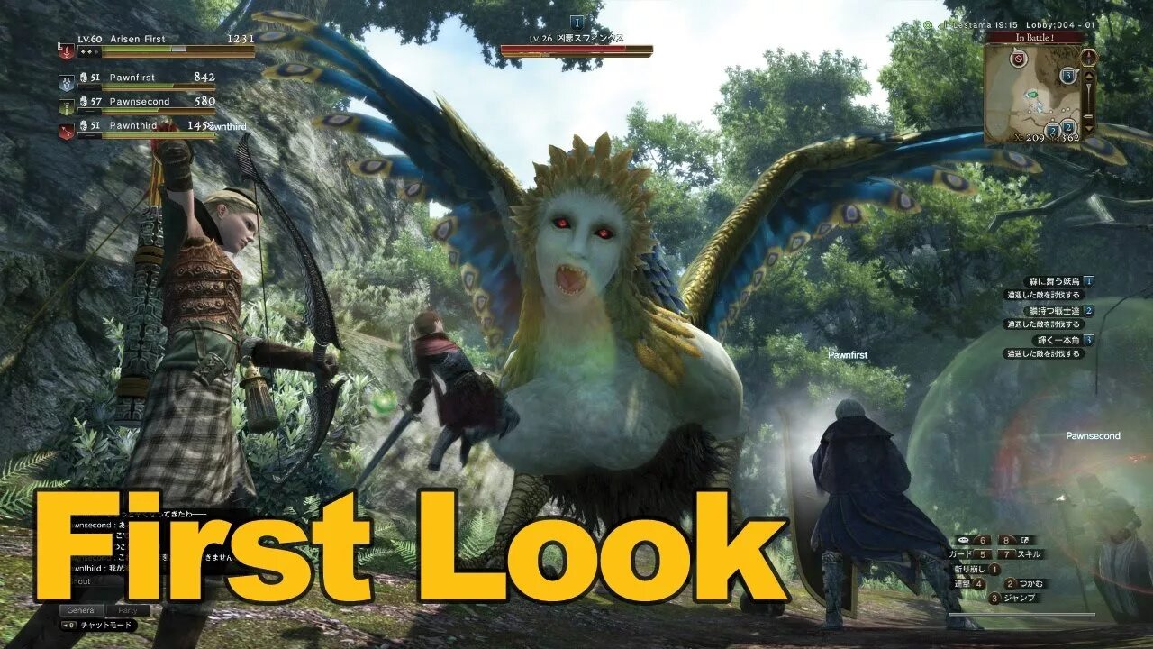 Драгон догма лучник. Сколько весит драгон догма 2. Dragon's dogma dark arisen character creation. Сколько весит драгон догма 2. Драгон догма пешки.
