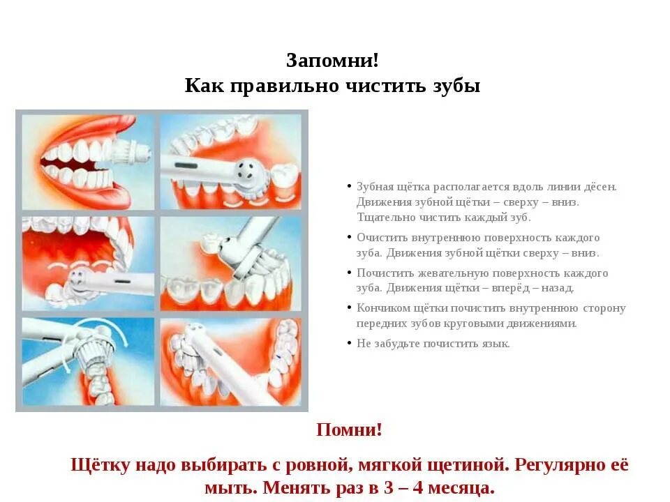 Сколько времени нужно чистить зубы. Как очистить зубы сзади. схема чистки зубов электрической щеткой. как правильно чистить зубы электрической щеткой детям. как правильно чистить зубы электрической зубной щеткой детям.