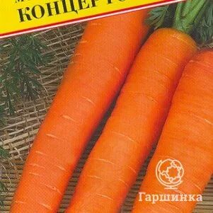Семена гаршинка интернет. Семена гаршинка интернет
