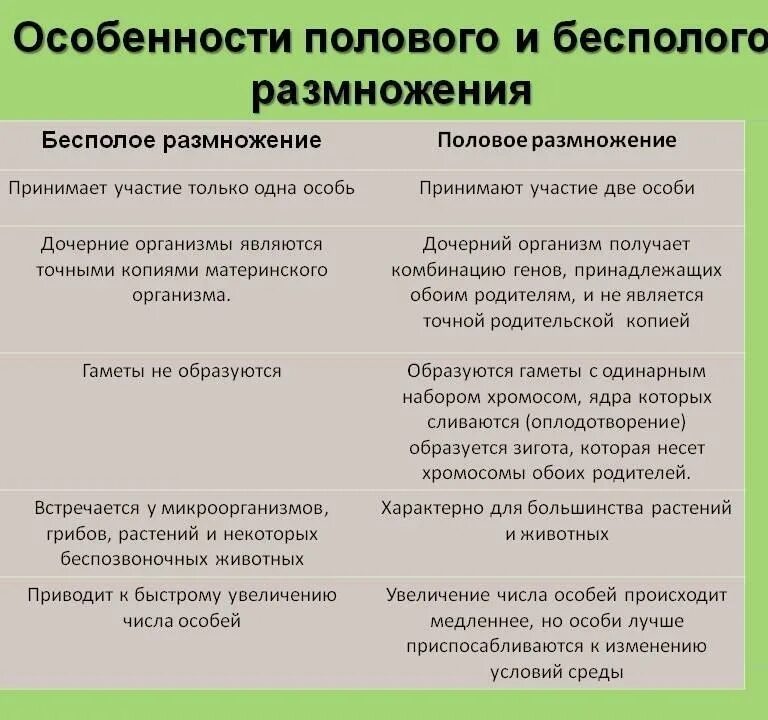 Вегетативное размножение таблица 9 класс - TouristMaps.ru