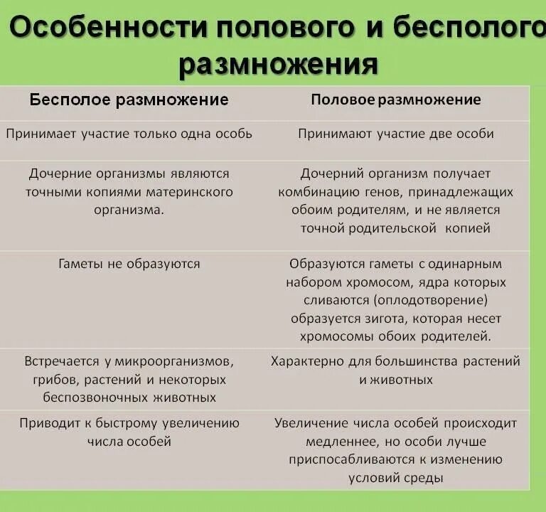 Почему при половом размножении потомства. Бесполое размножение и половое размножение таблица. Характеристика форм полового размножения. Характеристики бесполого размножения. Характерные черты полового размножения.