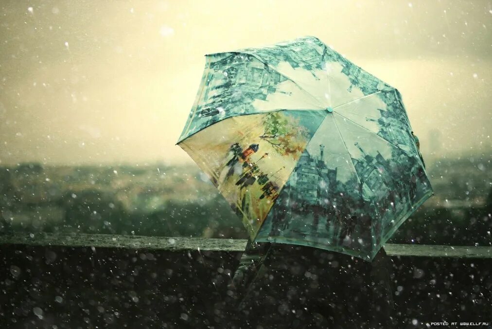 Дождливый дневник. Дождь зонт. Зонт на снегу. Лето дождь зонт. Слабый снег и зонт.