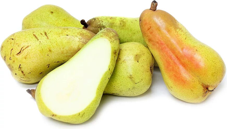 Pear Varietes - Tsesmelis Fruit & Nut Nursery