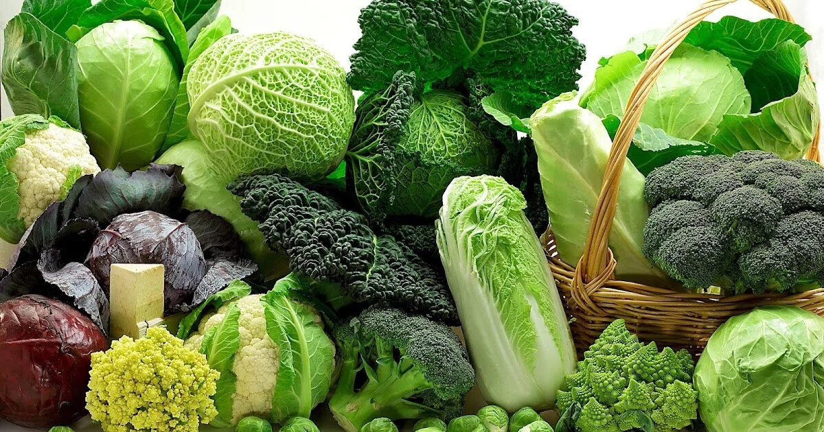 Пряно вкусовые овощи. Овощи и фрукты с огорода. Овощи травы. Овощи фрукты зелень. Композиции из овощей на траве.