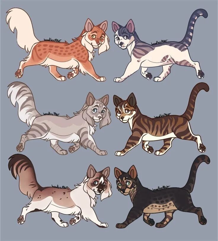Коты воители создать ос. Коты воители адопты. адопты котов воителей. коты воители окрасы адопты. коты воители адопты сложные.