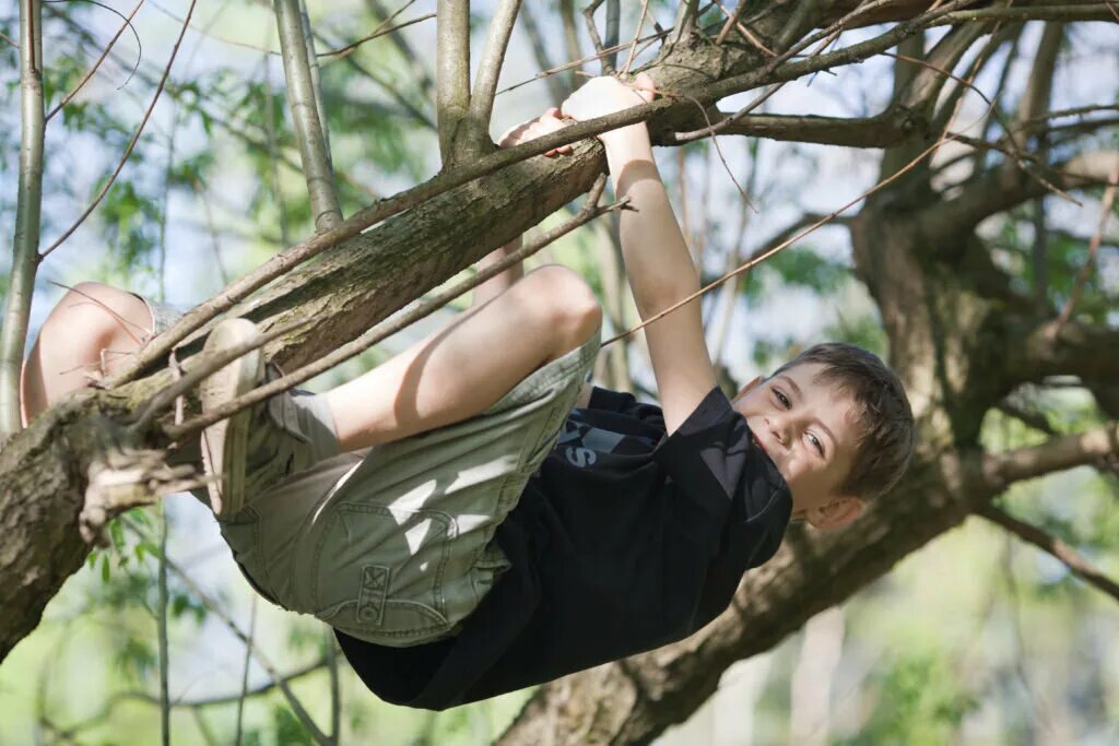 Мальчик на дереве. Дерево с висящими ветками. Парень висит на ветке дереве. Мальчишка на дереве. Забираться в чащу