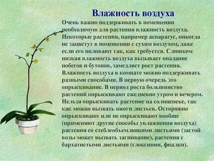 Что значит брызгать