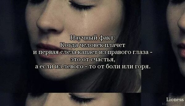 Если человек плачет. Цитаты про глаза и взгляд. Статусы про слезы. Почему люди плачут.
