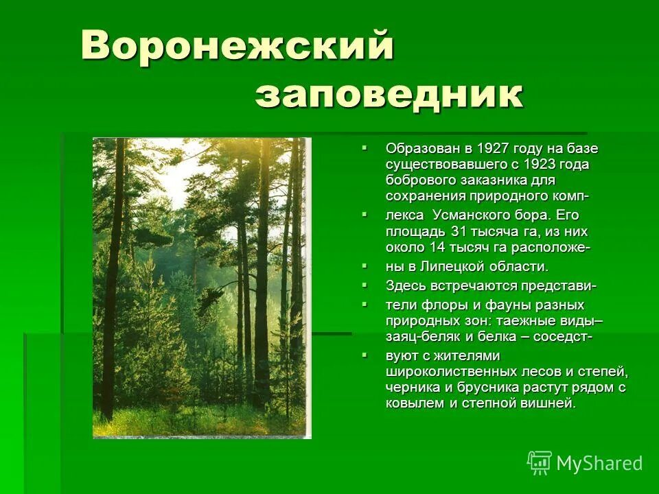 Охраняемые природные территории воронежской области. Воронежский заповедник на территории Липецкой области. Презентация на тему заповедники. Воронежский заповедник заповедники. Заказники презентация.