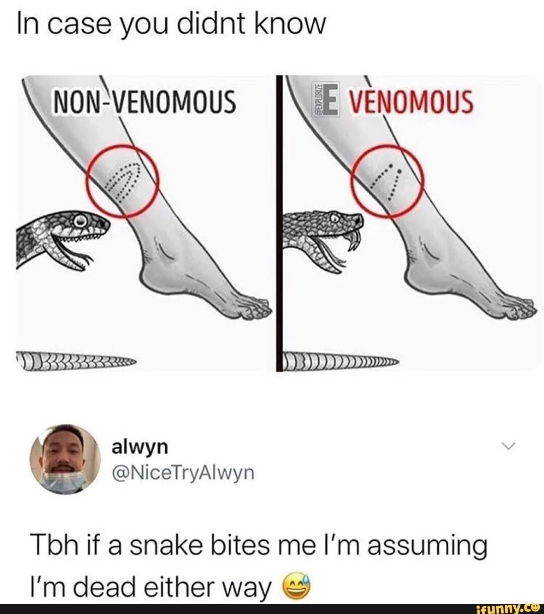 You didn t know текст на русском. Что означает Venomous. Non Venomous перевод.