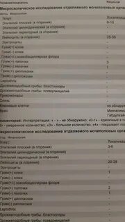 Исследование мочеполовых органов расшифровка
