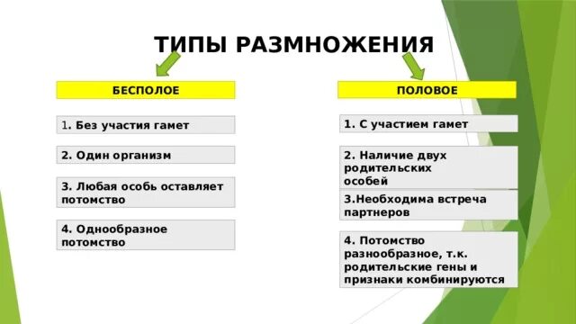 В половом размножении участвует одна особь. Половое размножение типы. Бесполое размножение участвует одна родительская особь. Половое размножение родительские особи гаметы. Бесполое размножение 1 родительская особь.