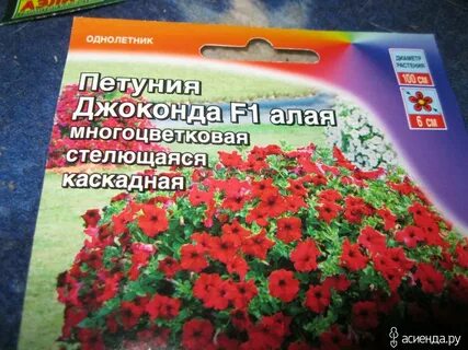 Петуния джоконда