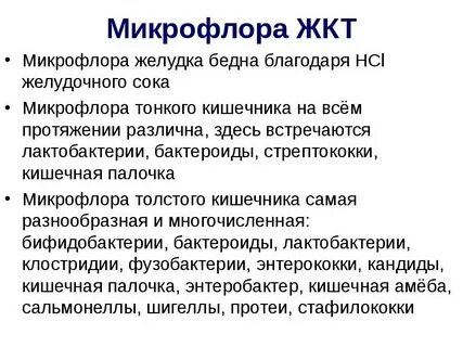 Как улучшить микрофлору желудка