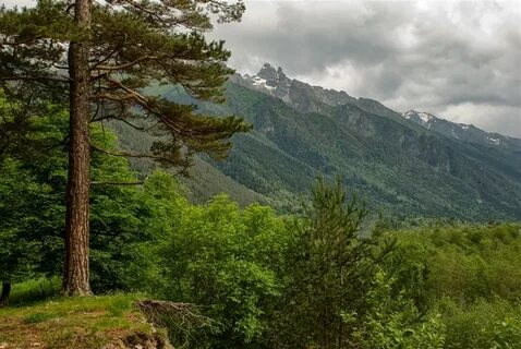 Галерея гора
