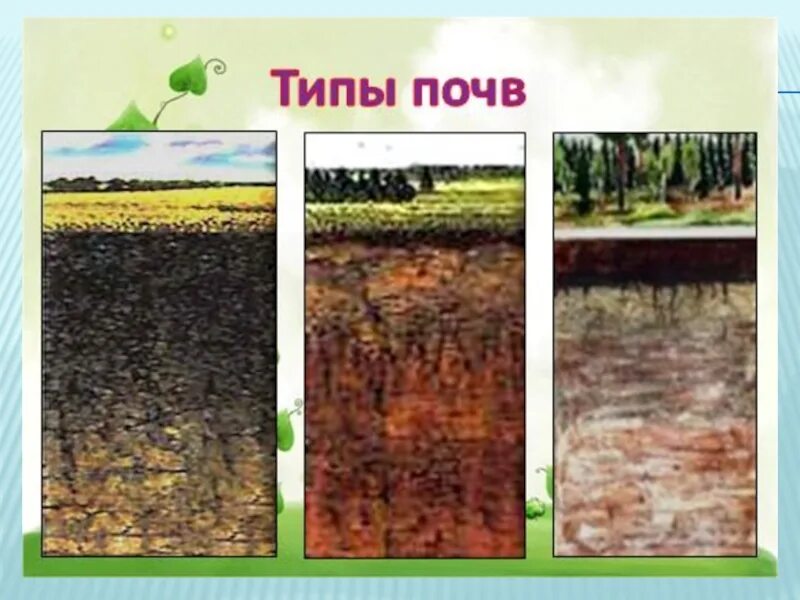 4 класс типы почв. Три вида почв. типы почв окружающий мир. типы почв 3 класс. 3 вида почвы.