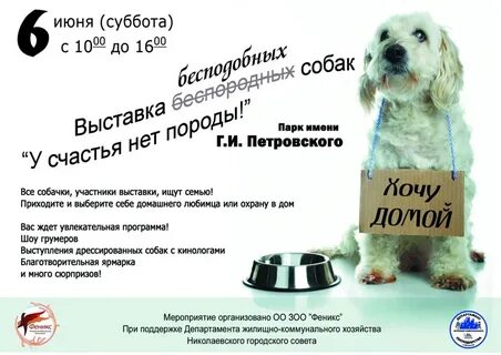 Листовка собак