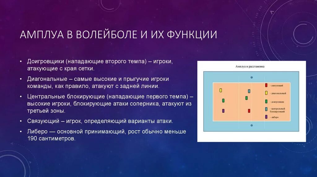 Амплуа игроков в волейболе и их функции. Позиции (амплуа) игроков в волейболе. Название игроков в волейболе Либеро. Волейбол Либеро связующий.