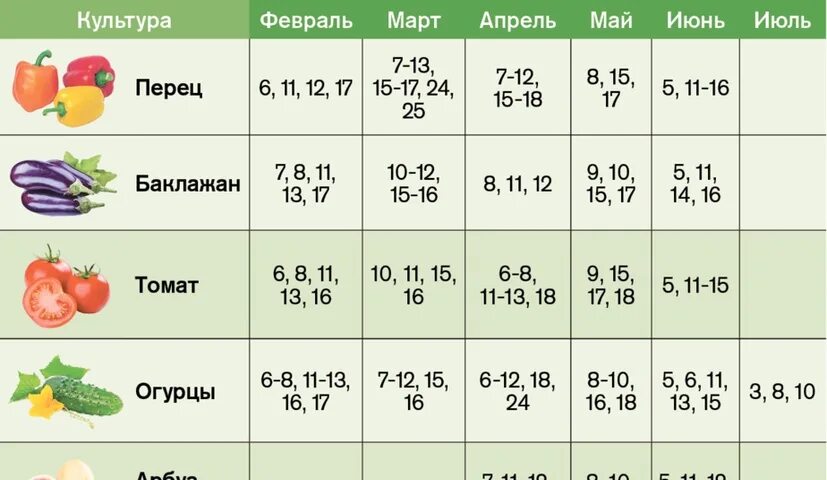 Лунный календарь на 2024г огородника томаты. Gjcfljxyst LYB lkz ,FRKF;FYJD? Gthwtd b gjvbljh. Благоприятные дни для посадки томатов в 2023 году. Календарь расад посева семян на рассаду в 2023 году. Посадочные дни для перца.