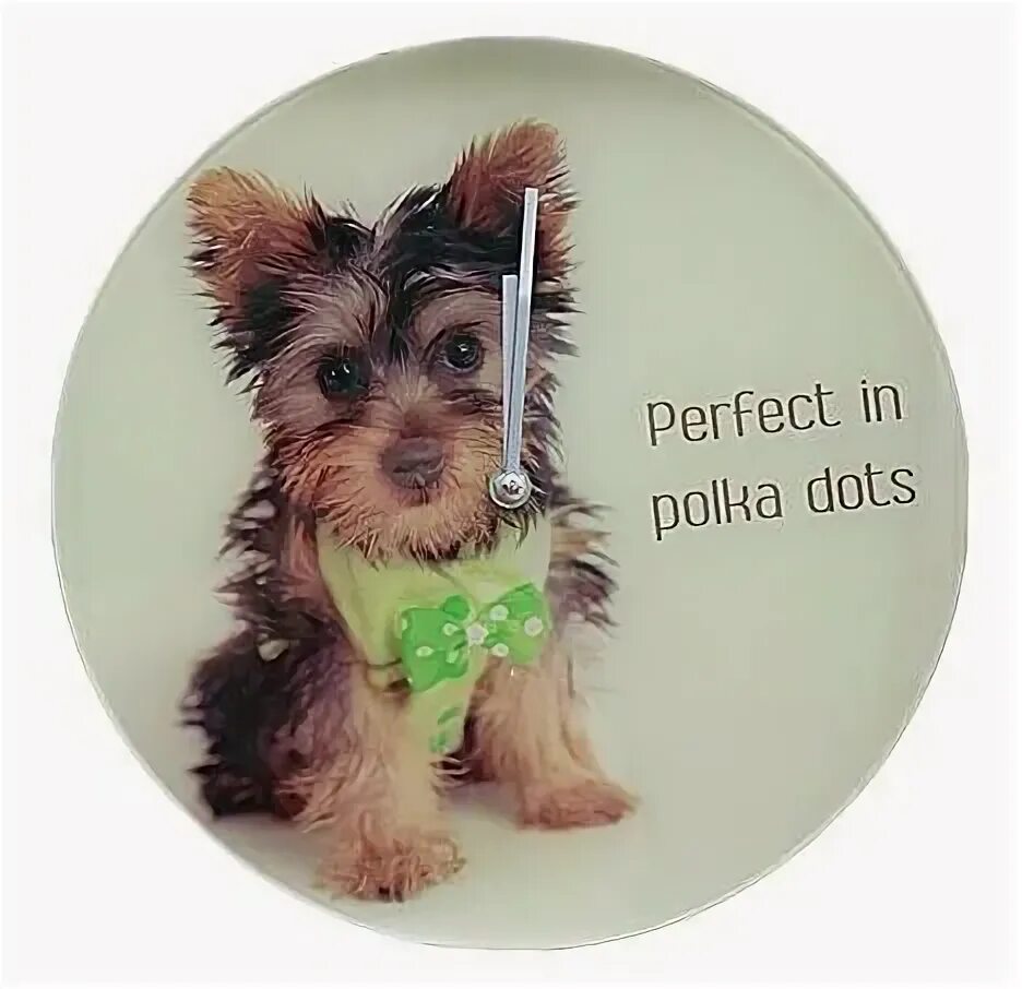 Часы grand central terminal ny. Здание с часами в нью-йорке. Настенные часы нью-йорк. Центральный вокзал нью-йорка часы. Часы в нью йорке.